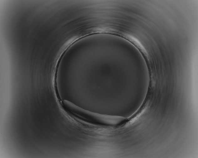 X0000094900946200712061026