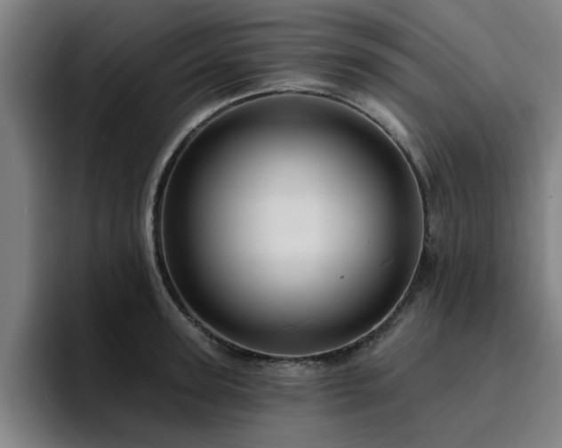 X0000094900947200712061026