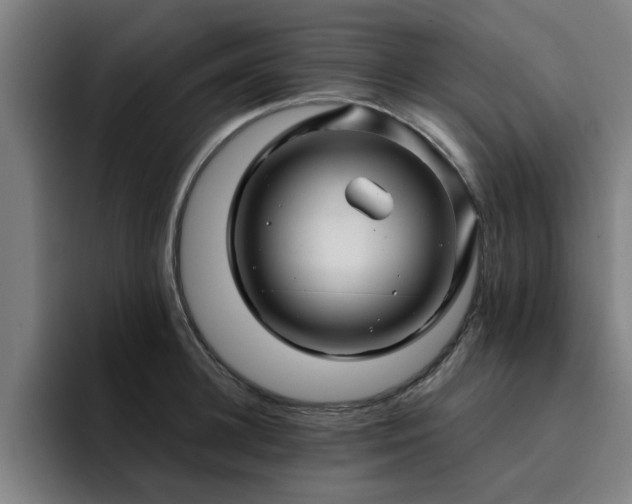 X0000094900948200712061026