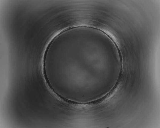 X0000094900949200712061026