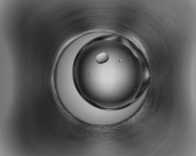 X0000094900952200712061026