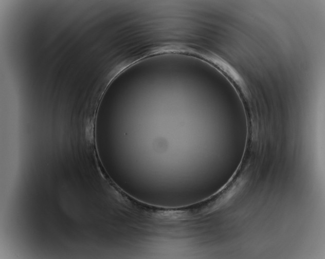 X0000094900953200712061026