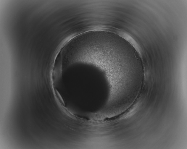 X0000094900954200712061026