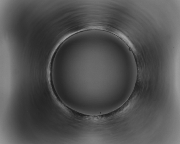 X0000094900955200712061026