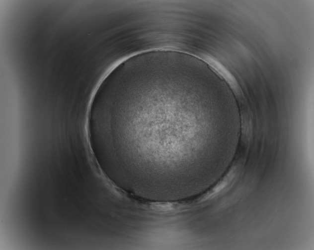 X0000094900956200712061026