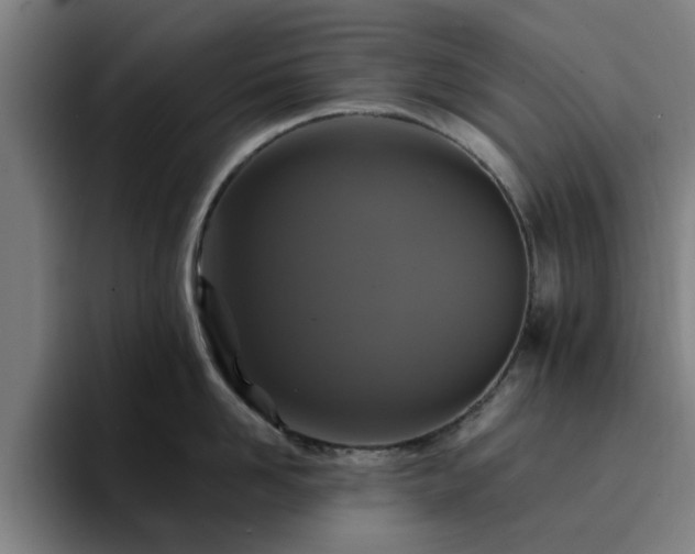 X0000094900958200712061026