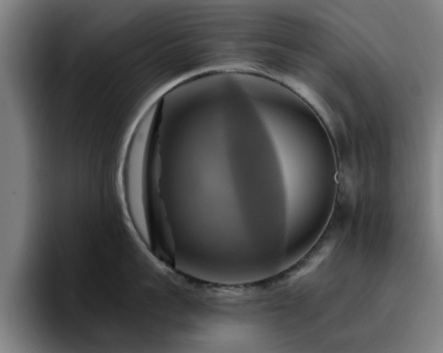 X0000094900959200712061026