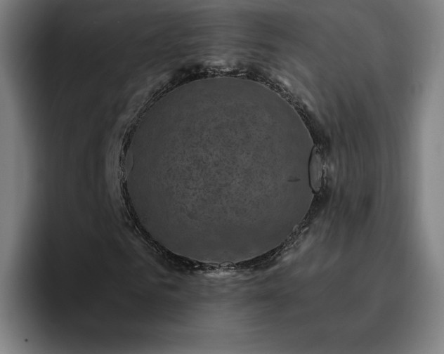X0000094900961200712061025