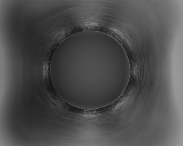 X0000094900964200712061025