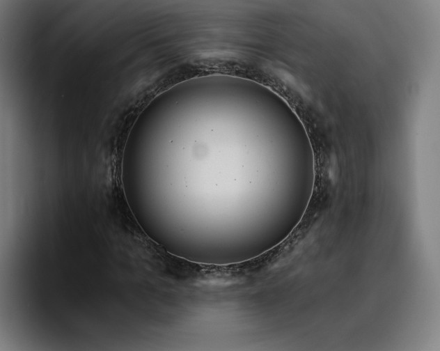 X0000094900965200712061025