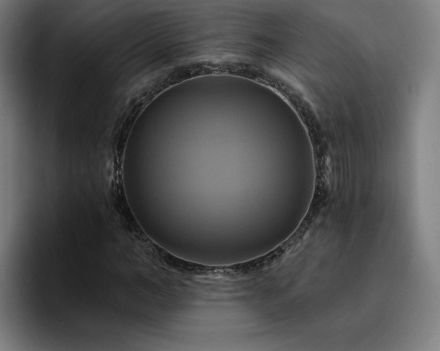 X0000094900966200712061025