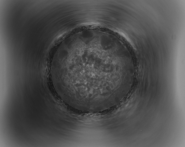 X0000094900967200712061025