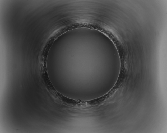 X0000094900968200712061025