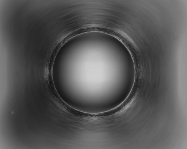 X0000094900969200712061025