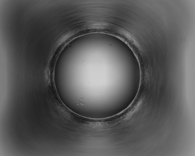 X0000094900970200712061025