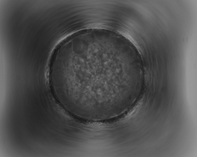 X0000094900971200712061025