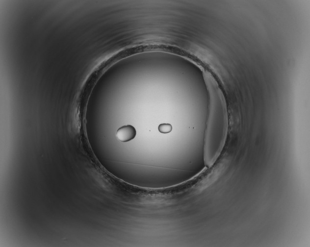 X0000094900973200712061025