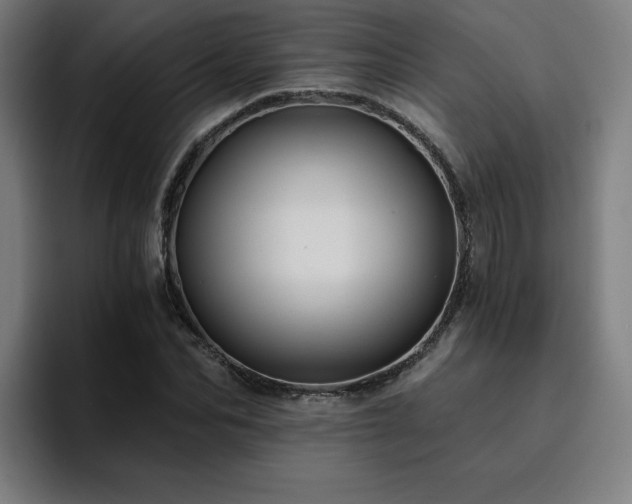 X0000094900974200712061025