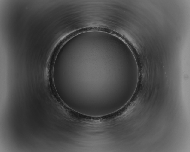 X0000094900975200712061025