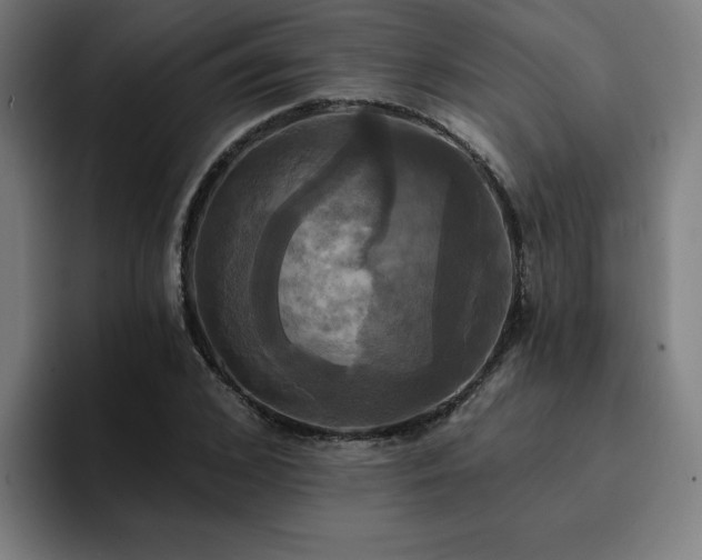 X0000094900976200712061025