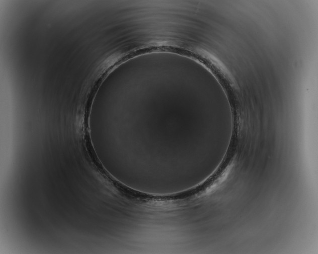 X0000094900977200712061025