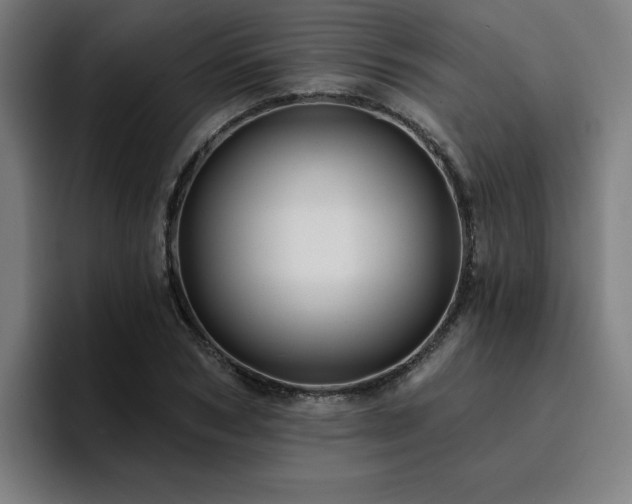 X0000094900978200712061025
