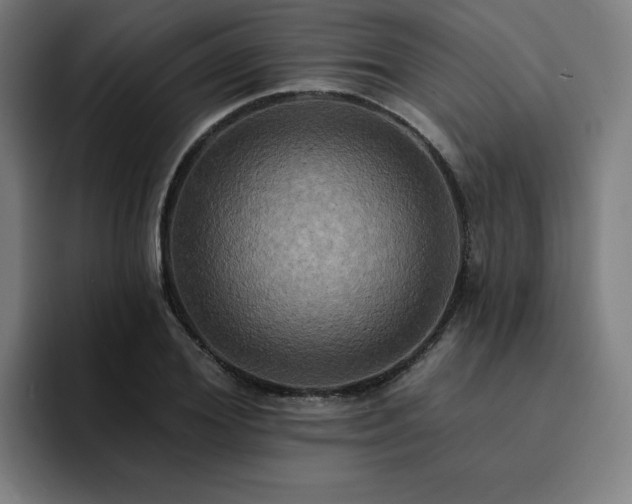 X0000094900980200712061025