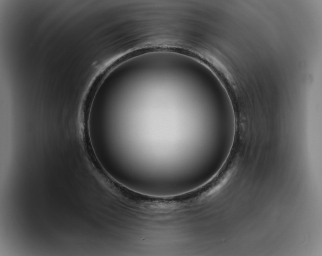 X0000094900981200712061025