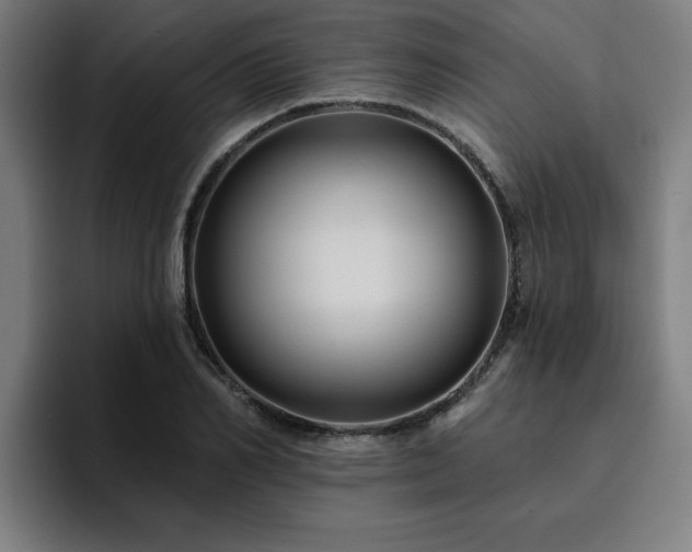 X0000094900982200712061025