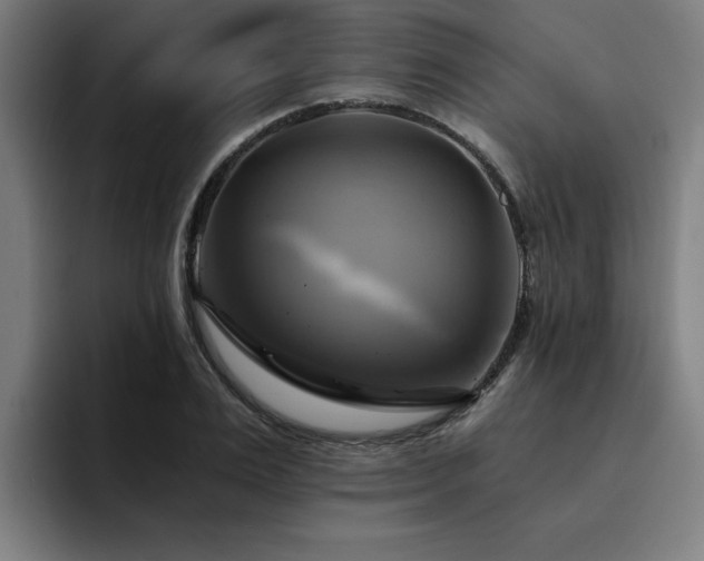X0000094900983200712061025