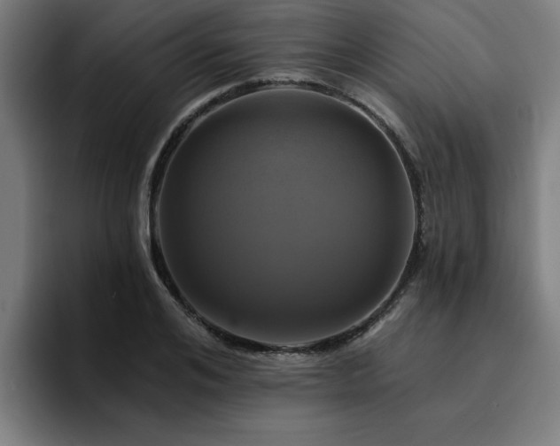 X0000094900984200712061025