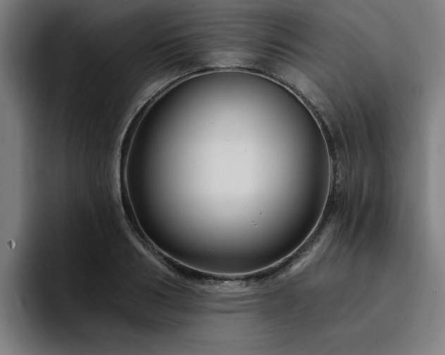 X0000094900986200712061025