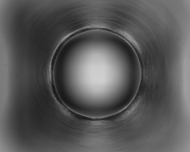 X0000094900988200712061025