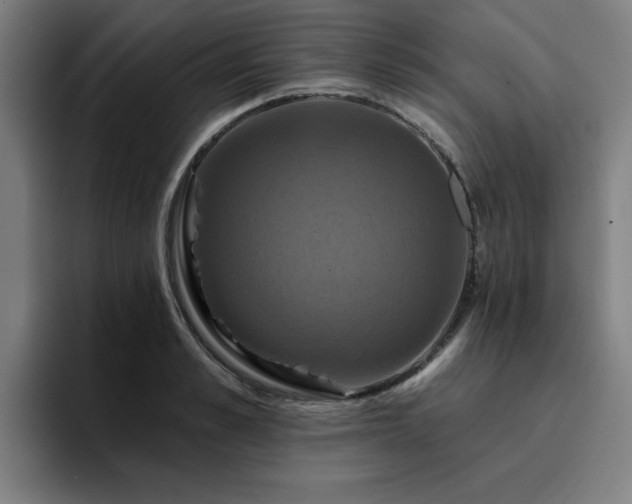 X0000094900989200712061025
