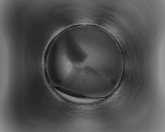 X0000094900990200712061025