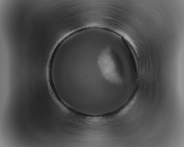 X0000094900991200712061025
