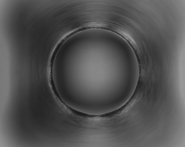 X0000094900992200712061025