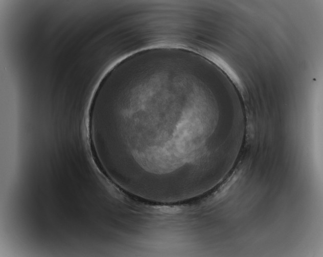 X0000094900996200712061025