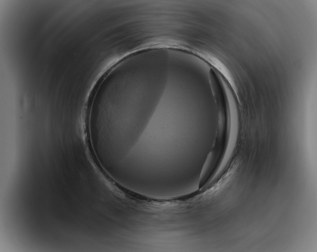 X0000094900997200712061025