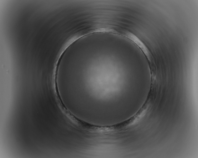 X0000094901002200712061025
