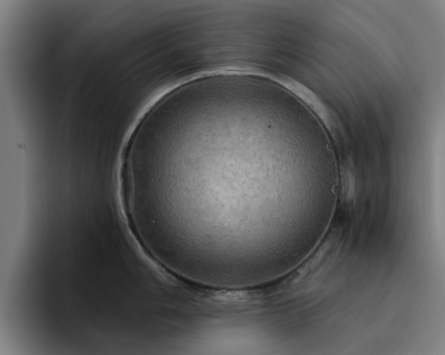 X0000094901006200712061025