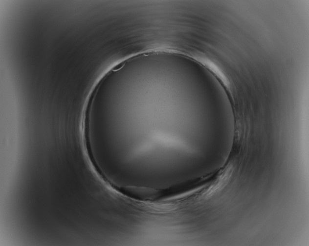 X0000094901007200712061025