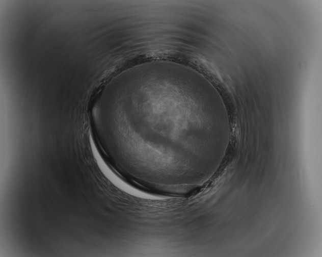 X0000094901012200712061024