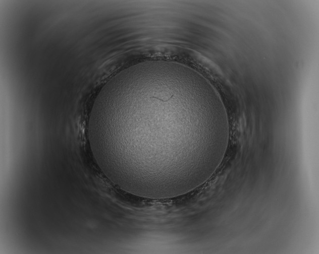 X0000094901013200712061024