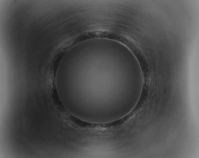 X0000094901014200712061024