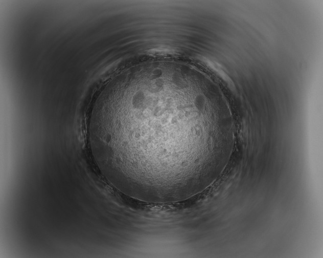 X0000094901015200712061024