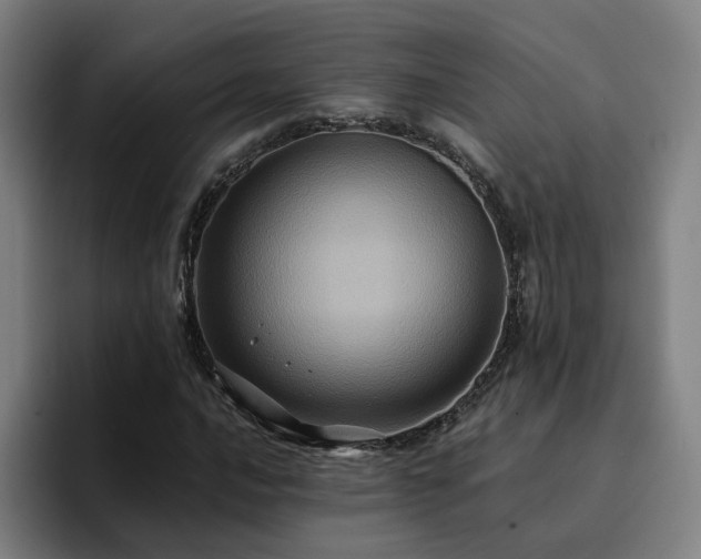 X0000094901016200712061024