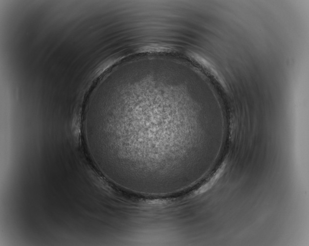 X0000094901017200712061024