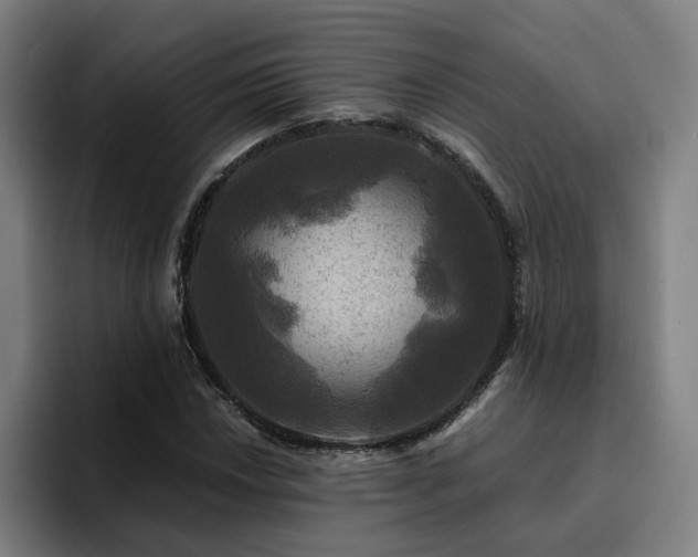 X0000094901018200712061024
