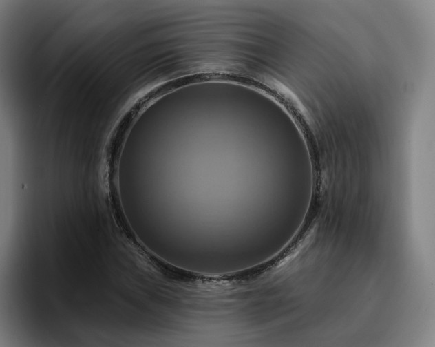 X0000094901019200712061024